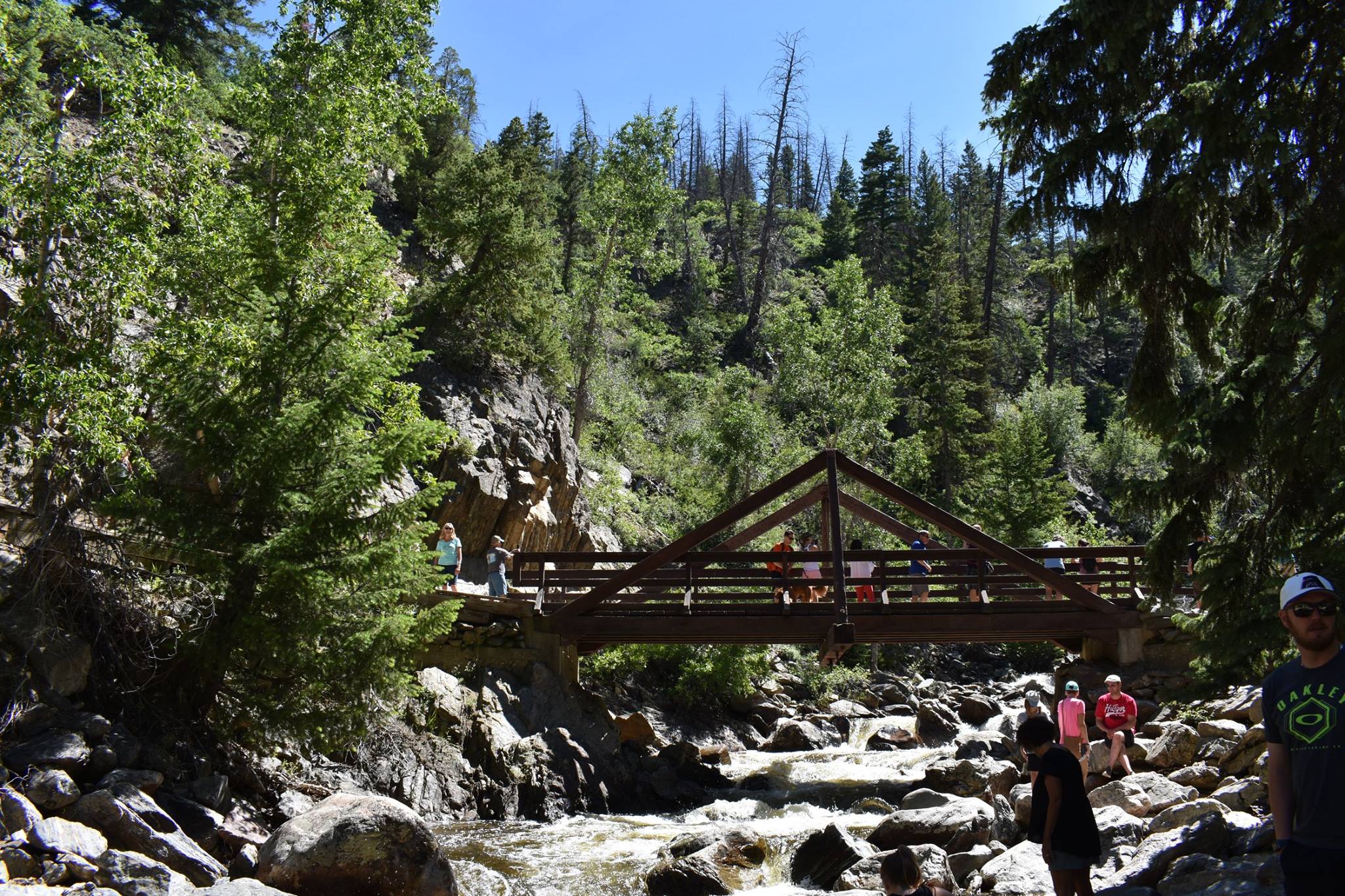 Bridge from distance